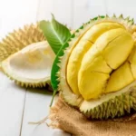 Durian: Buah Eksotis dengan Sejuta Manfaat